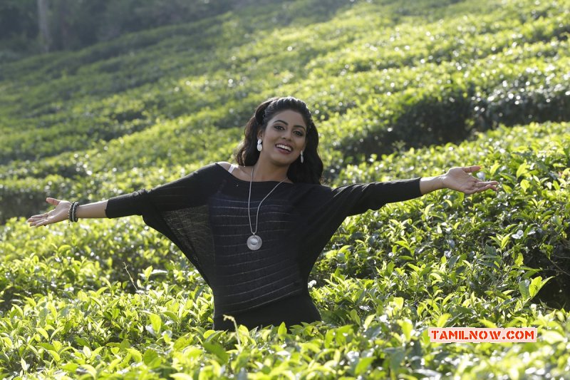 Oct 2016 Picture Iniya Tamil Movie Actress 1519