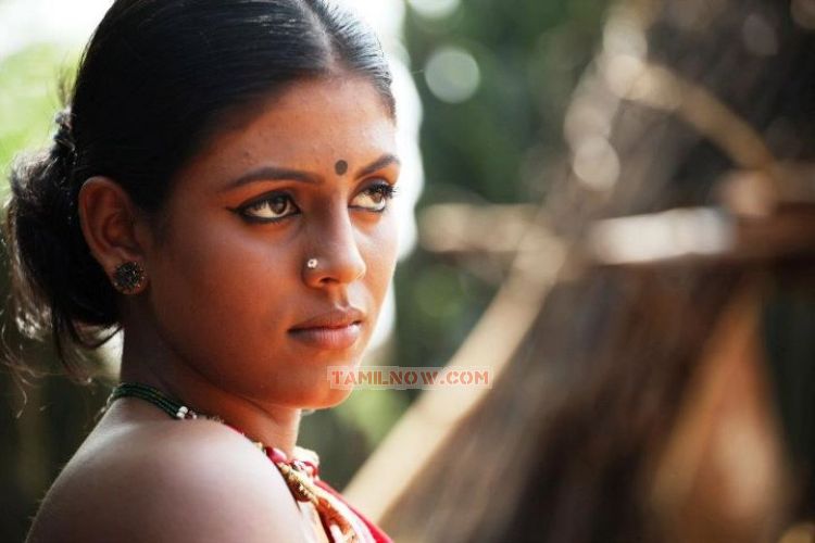 Tamil Actress Iniya 8829