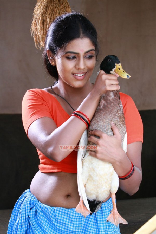 Tamil Actress Iniya Photos 7648