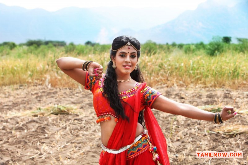 Tamil Actress Iniya Photos 7891