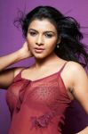 Tamil Actress Kadhal Saranya 545