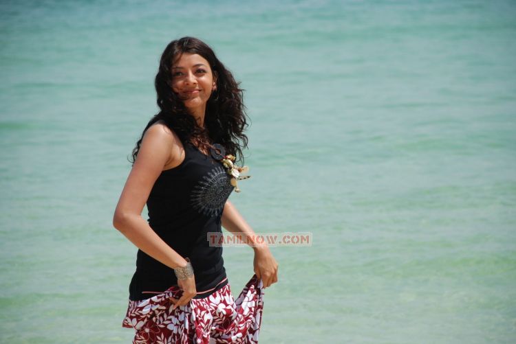 Actress Kajal Agarwal 1708