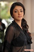 Actress Kajal Agarwal 4411