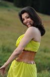 Actress Kajal Agarwal 6378