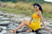 Actress Kajal Agarwal 8245