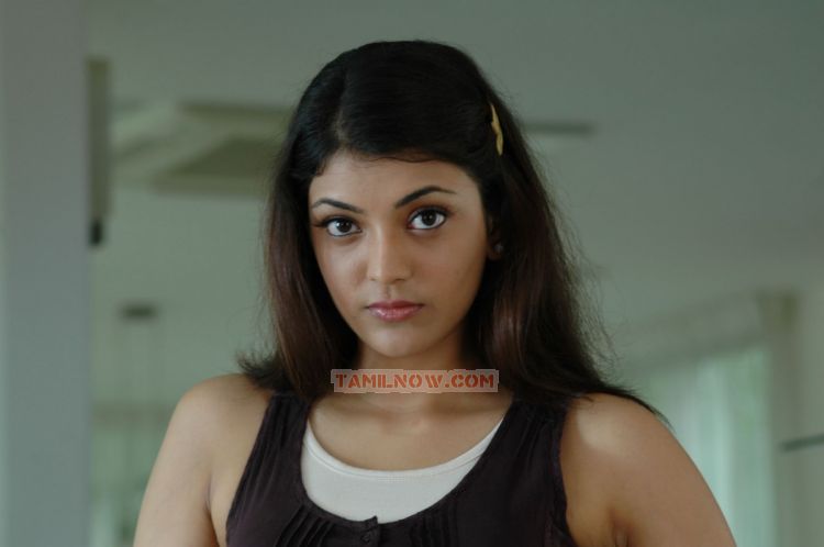 Actress Kajal Agarwal 8261