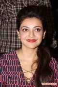 Actress Kajal Agarwal 8703