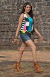 Actress Kajal Agarwal 9243