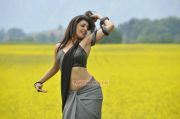 Actress Kajal Agarwal 9711