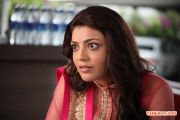 Actress Kajal Agarwal 9826