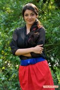 Actress Kajal Agarwal Photos 8488