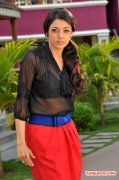 Actress Kajal Agarwal Stills 1605