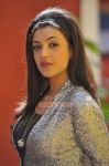 Actress Kajal Agarwal Stills 4320