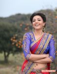 Actress Kajal Agarwal Stills 5393