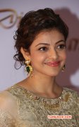 Cinema Actress Kajal Agarwal 2014 Gallery 9780