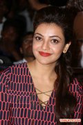 Kajal Agarwal 1491