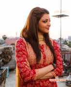 Kajal Agarwal Heroine Jul 2015 Image 2540