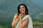 Kajal Agarwal New Gallery Photos 4