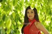 Kajal Agarwal Photos 1112