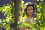 Kajal Agarwal Photos 4796