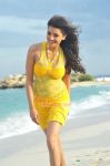 Kajal Agarwal Photos 4893