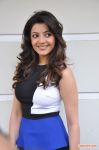 Kajal Agarwal Photos 7099