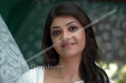 Kajal Agarwal Pics 203