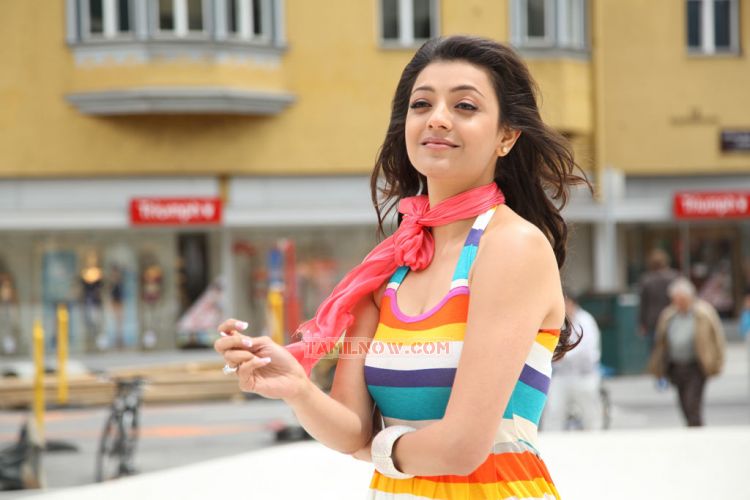 Kajal Agarwal Stills 5329