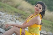 Kajal Agarwal Stills 615