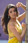 Kajal Agarwal Stills 7211