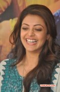 Kajal Agarwal Tamil Heroine Albums 9974