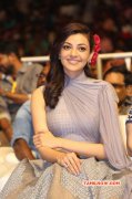 Kajal Agarwal Tamil Heroine Latest Photo 3728