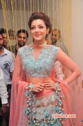 South Actress Kajal Agarwal 2015 Images 7262