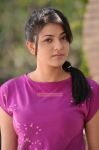 Tamil Actress Kajal Agarwal 3249