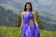Tamil Actress Kajal Agarwal 9918