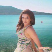 Tamil Actress Kajal Agarwal Feb 2017 Pictures 4066