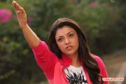 Tamil Actress Kajal Agarwal Photos 2210