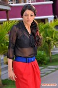 Tamil Actress Kajal Agarwal Photos 7483