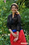 Tamil Actress Kajal Agarwal Photos 8205