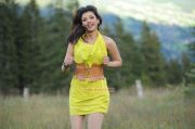 Tamil Actress Kajal Agarwal Stills 4605