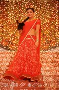 Kajal Aggarwal New Pic 7934