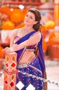 New Galleries Kajal Aggarwal Actress 9085