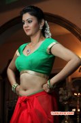 Recent Album Film Actress Kamna Jethmalani 2979