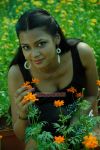 Tamil Actress Karina Shah Pics 858
