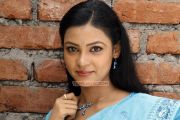 Tamil Actress Karina Shah Pics 987