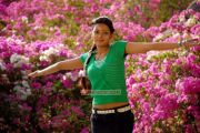 Tamil Actress Karina Shah Stills 788