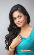 Heroine Karthika Nair 2014 Picture 5334