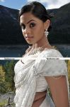 Karthika Nair Pics 11