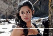 Karthika Nair Pics 12