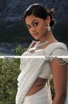 Karthika Nair Pics 6